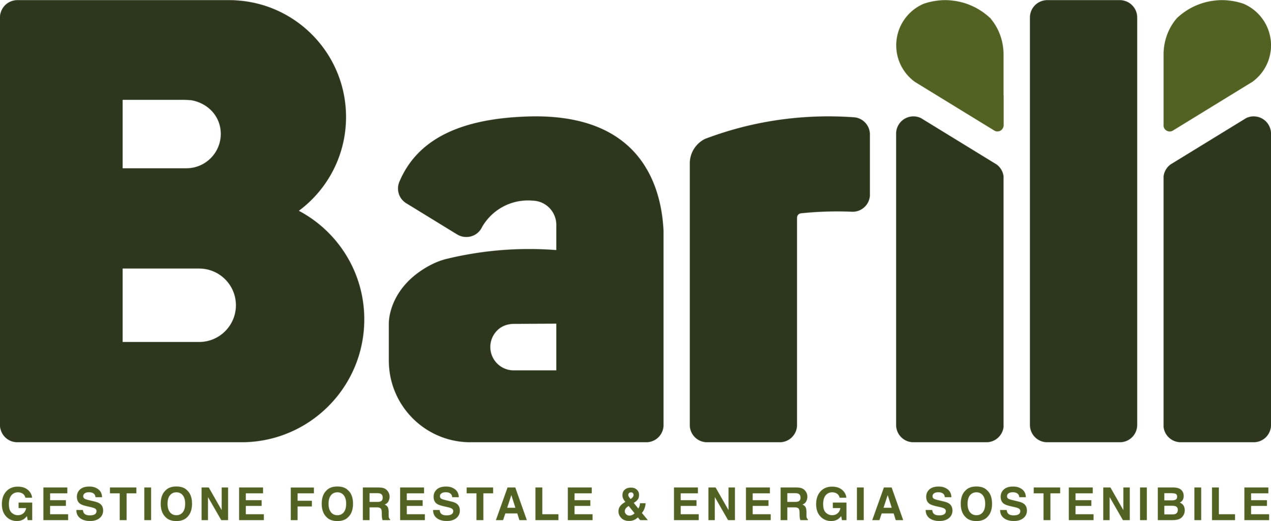 LOGO PRINCIPALE